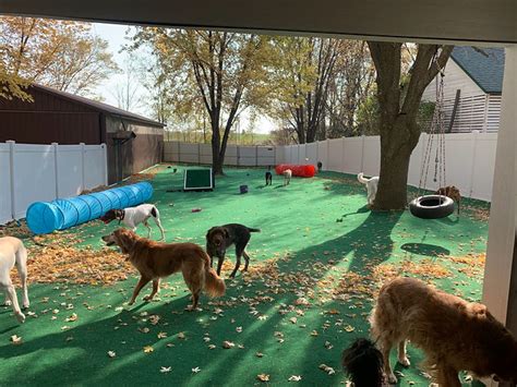 Dog Daycare Minneapolis, MN .